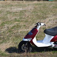 Gilera Stalker #Malle#