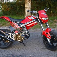 Suzuki  street magic