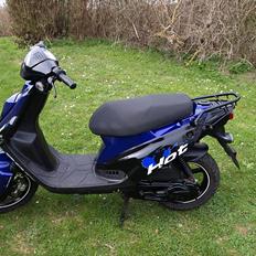 PGO Hot50 SP 12" 6 eger