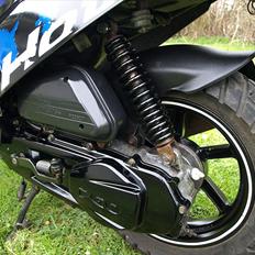 PGO Hot50 SP 12" 6 eger