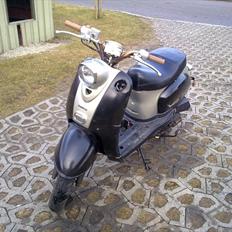 Giantco Venus 1 *SOLGT*