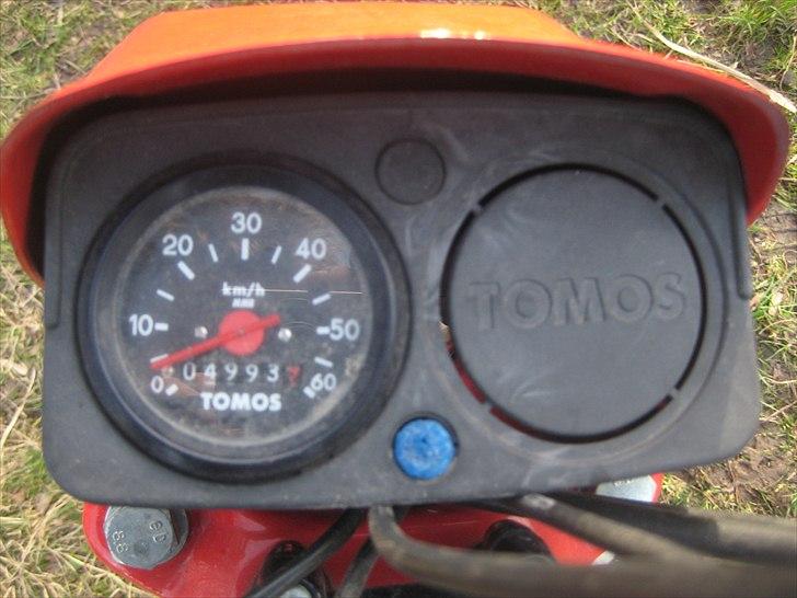 Tomos Quadro "MAJBRITT" billede 7