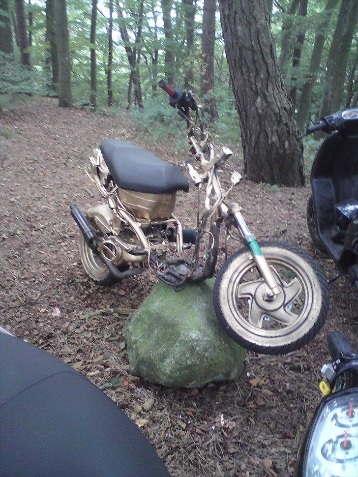 CPI Guldkorn popcorn  billede 9