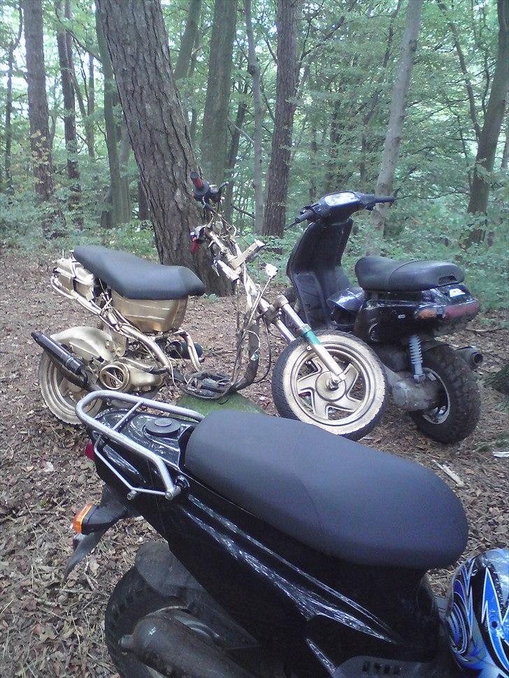 CPI Guldkorn popcorn  billede 10