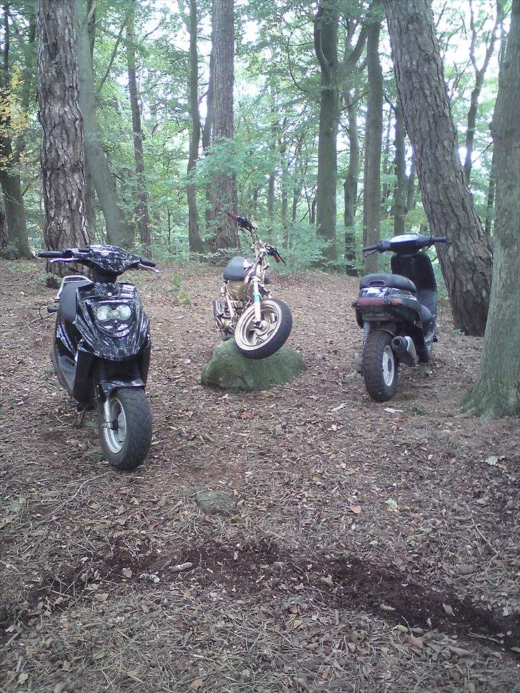 CPI Guldkorn popcorn  billede 11