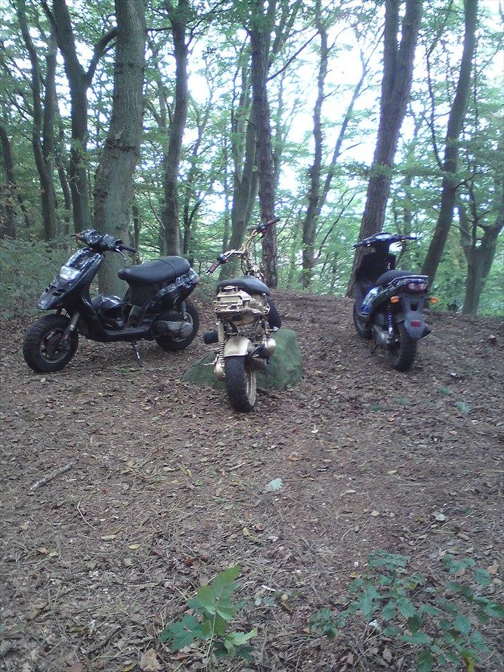 CPI Guldkorn popcorn  billede 12