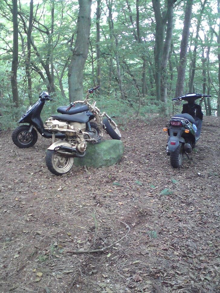 CPI Guldkorn popcorn  billede 13