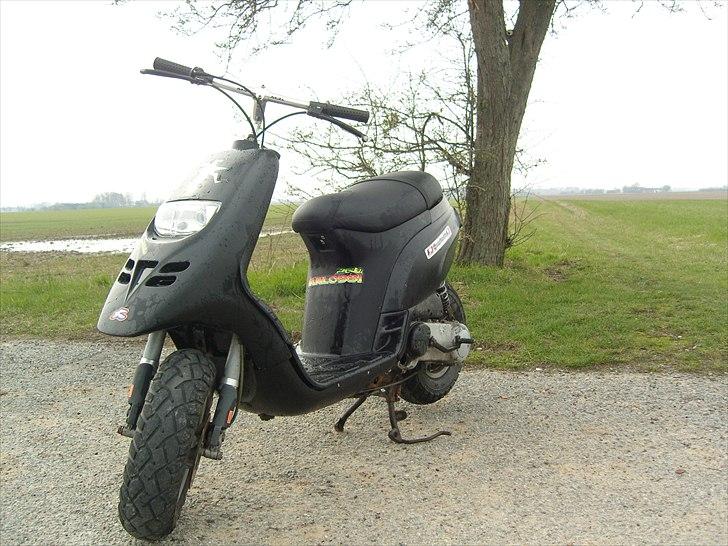 Piaggio Typhoon "SOLGT" billede 2