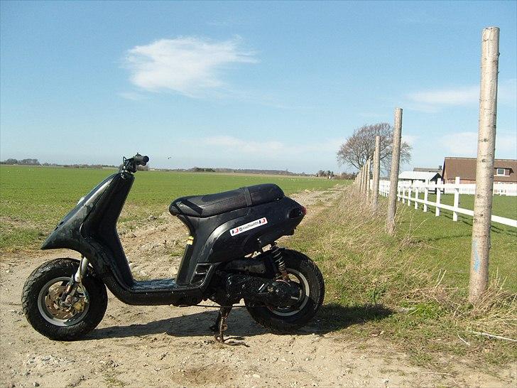 Piaggio Typhoon "SOLGT" billede 3