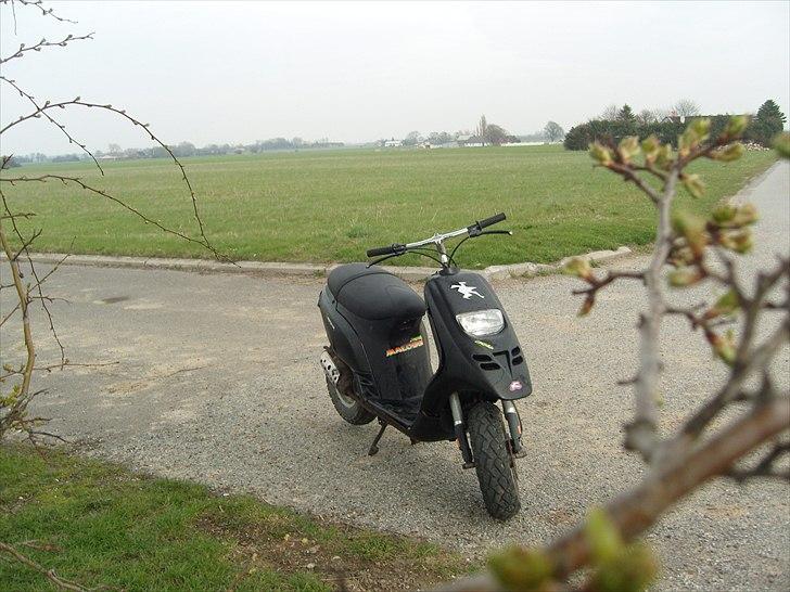 Piaggio Typhoon "SOLGT" billede 4