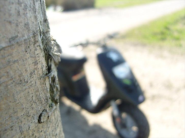 Piaggio Typhoon "SOLGT" billede 7