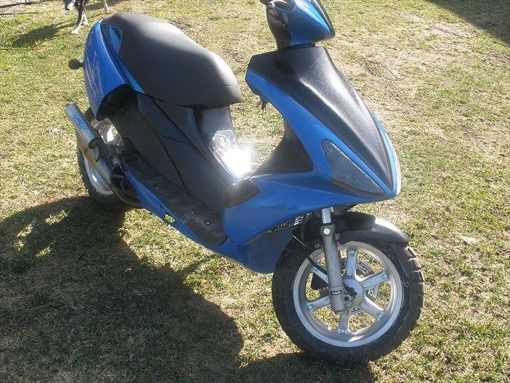 Benelli 491 SD.. taget af panserne :( billede 1