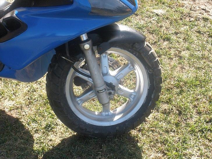 Benelli 491 SD.. taget af panserne :( billede 2