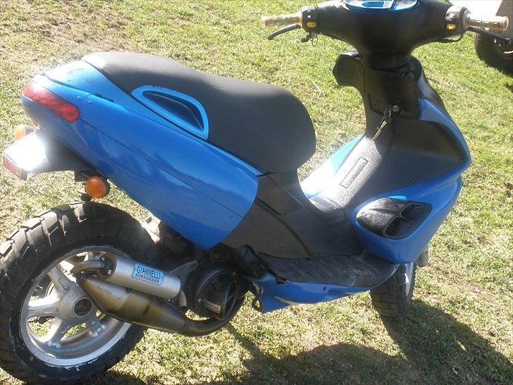 Benelli 491 SD.. taget af panserne :( billede 3