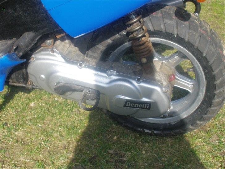 Benelli 491 SD.. taget af panserne :( billede 4