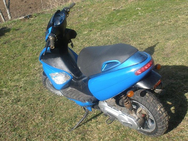 Benelli 491 SD.. taget af panserne :( billede 6