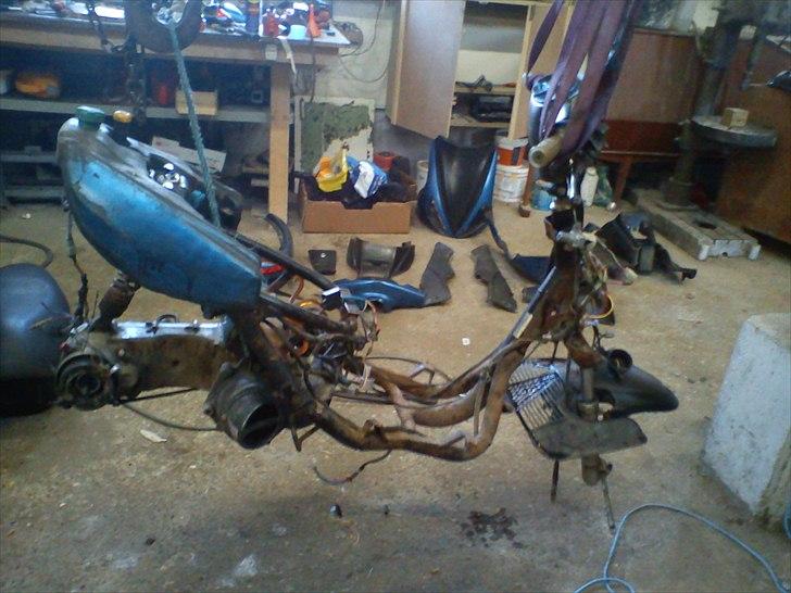 Benelli 491 SD.. taget af panserne :( - før renovering :D billede 7