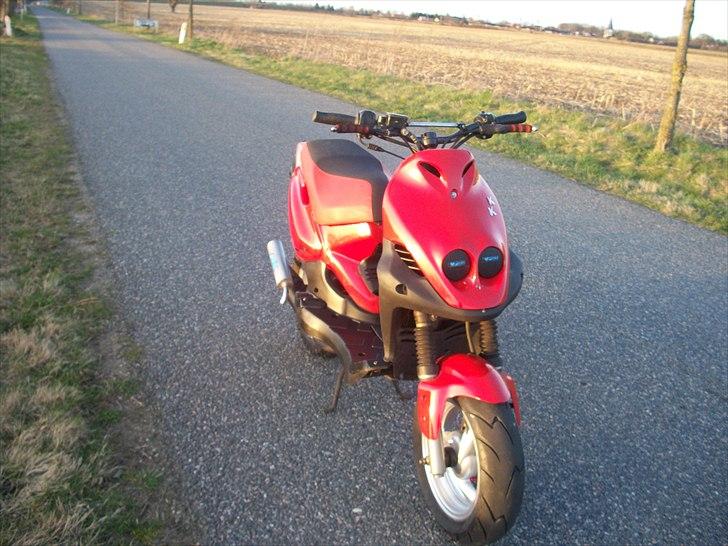 PGO Pmx sport polini (solgt)  billede 10