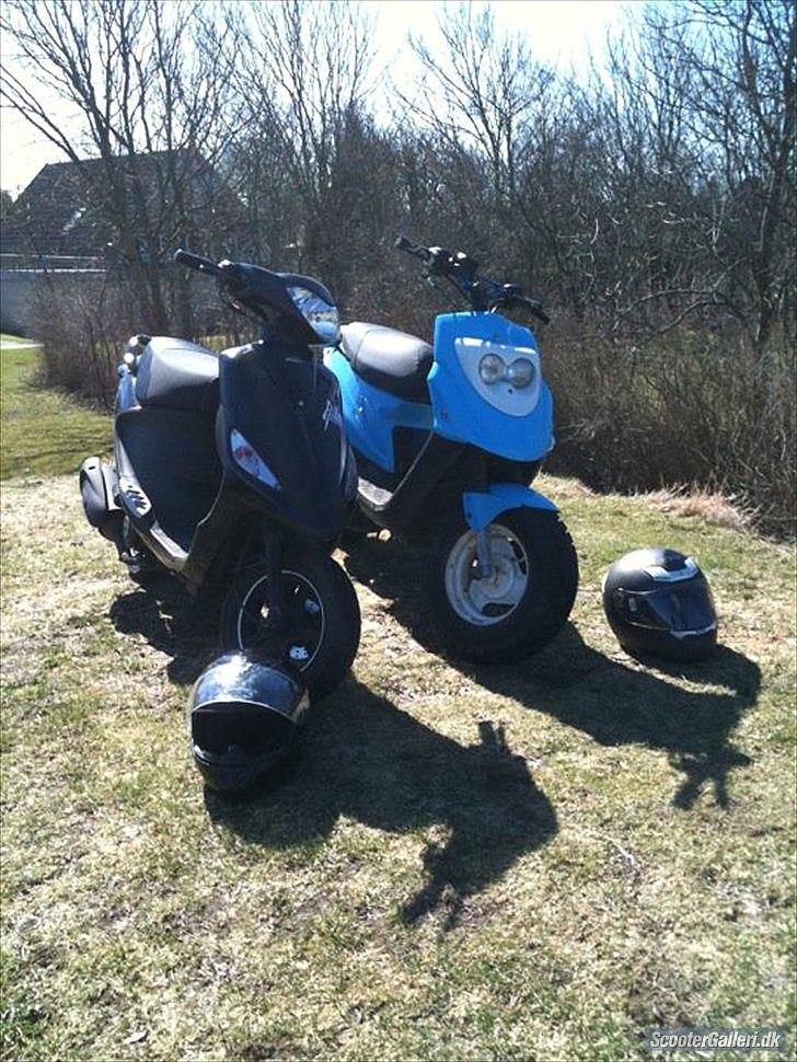 PGO Hot 50 billede 8