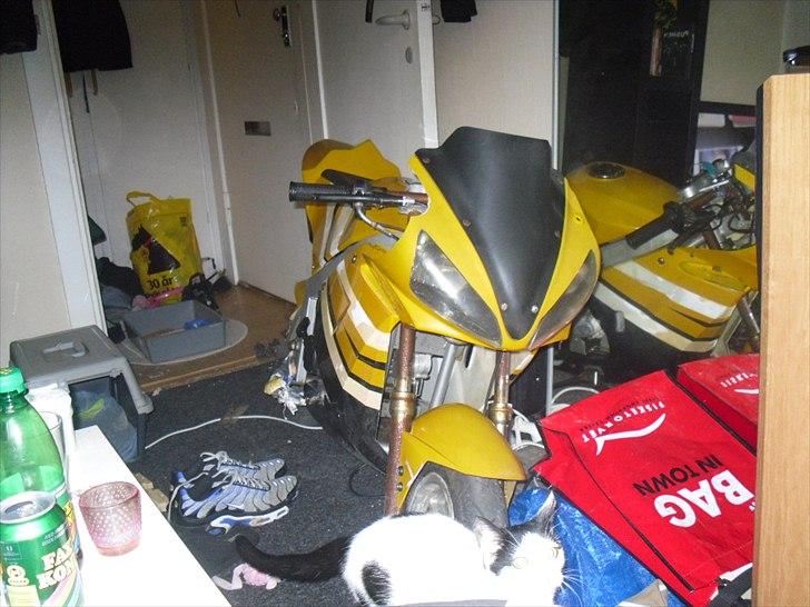 MiniBike mini moto ''stor'' billede 1