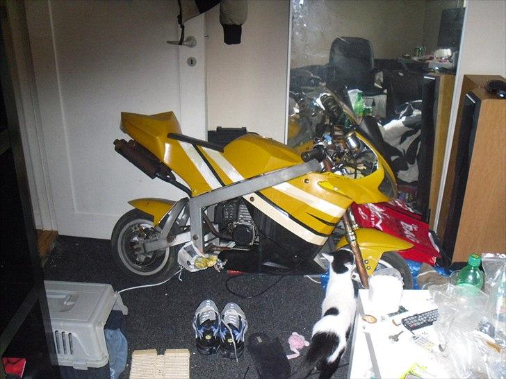 MiniBike mini moto ''stor'' billede 2