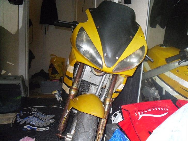 MiniBike mini moto ''stor'' billede 5