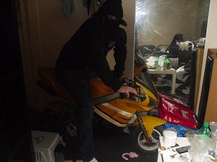 MiniBike mini moto ''stor'' billede 7