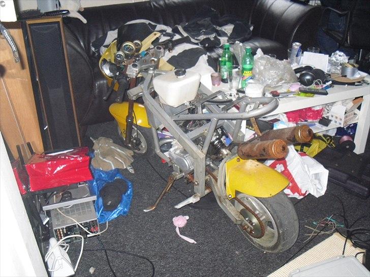 MiniBike mini moto ''stor'' billede 16