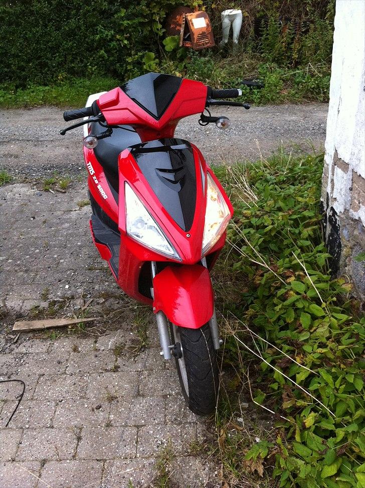 TMS z2 Classic 50cc billede 7