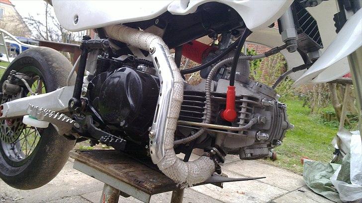 Zoot SM RR billede 1