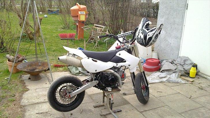 Zoot SM RR billede 2