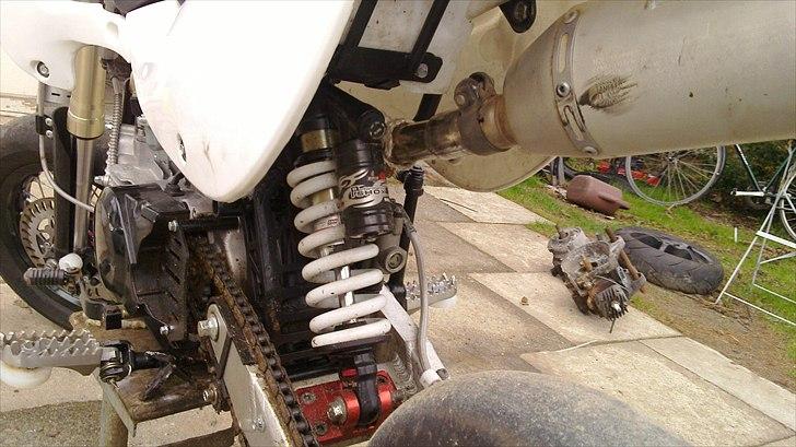 Zoot SM RR billede 8