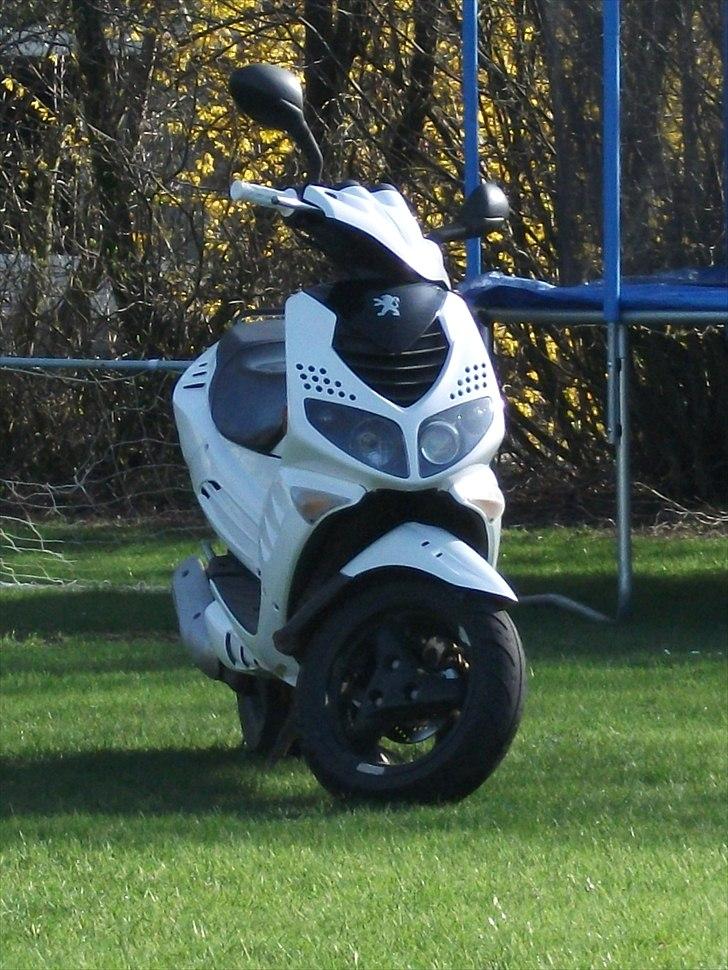 Peugeot Speedfight 2 (SOLGT) billede 18