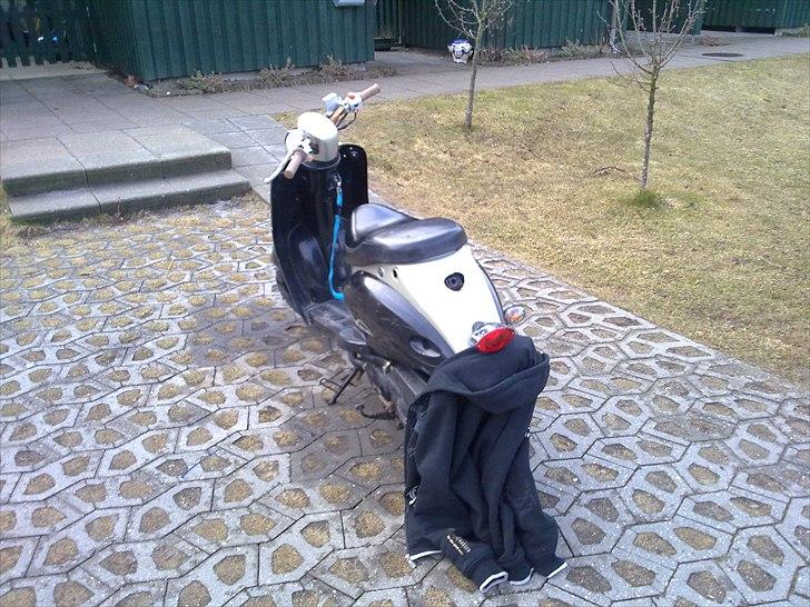 Giantco Venus 1 *SOLGT* billede 3