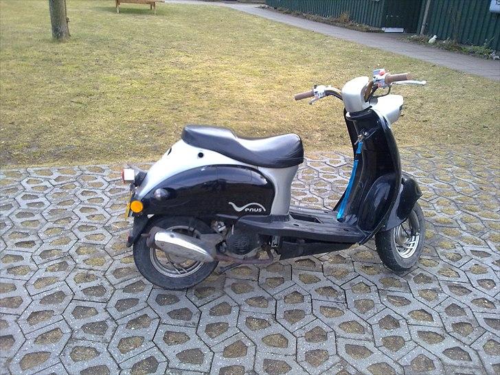 Giantco Venus 1 *SOLGT* billede 4