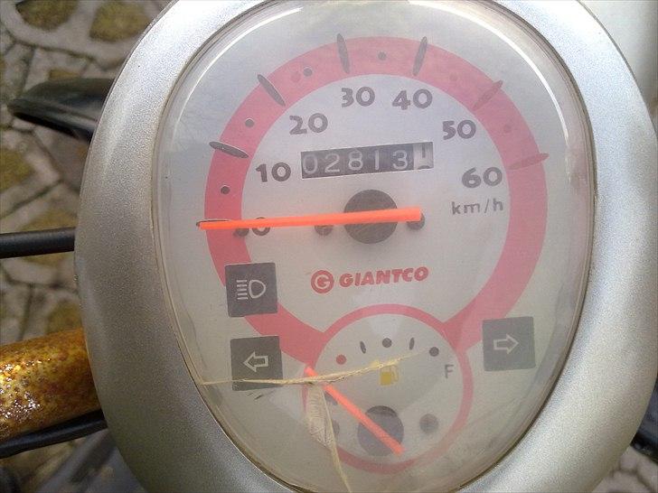 Giantco Venus 1 *SOLGT* billede 5