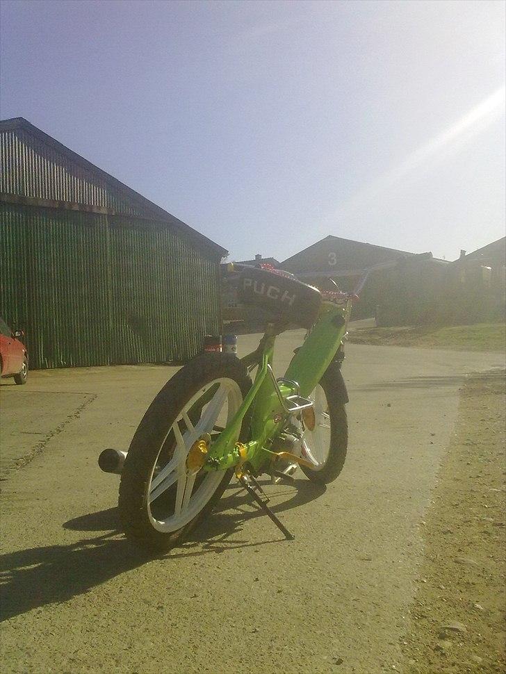 Puch K. Maxi billede 12