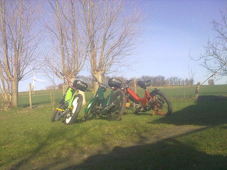 Puch K. Maxi billede 13