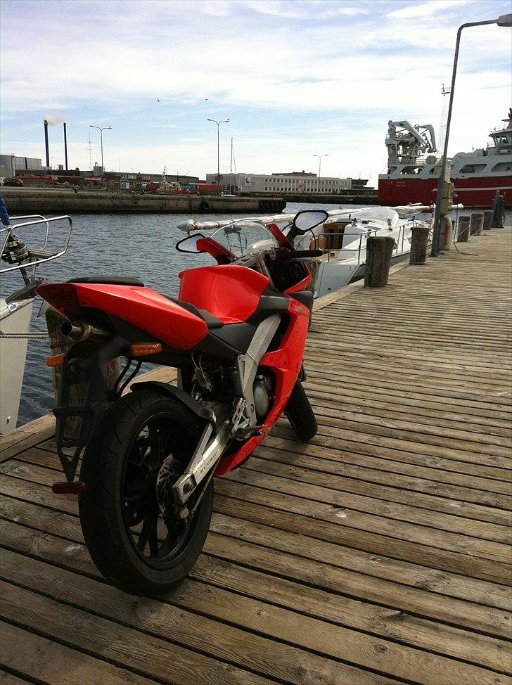 Derbi GPR billede 6