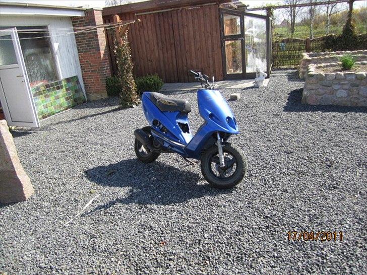 Malaguti F12 billede 7