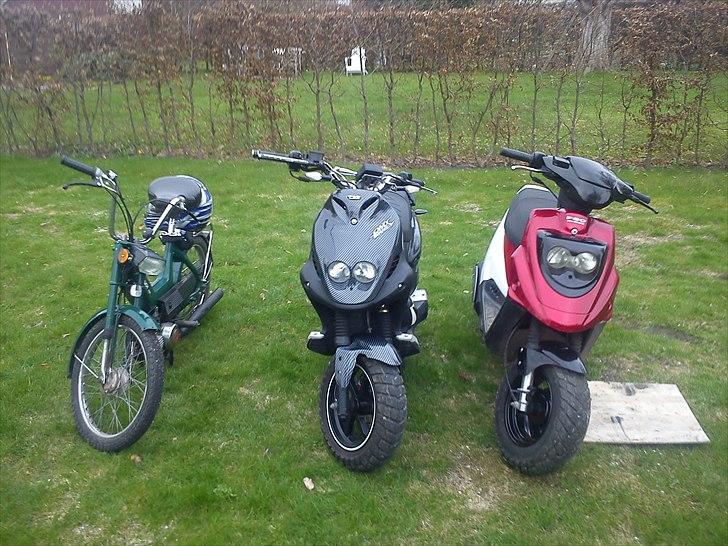 PGO PMX Naked Carbon billede 15