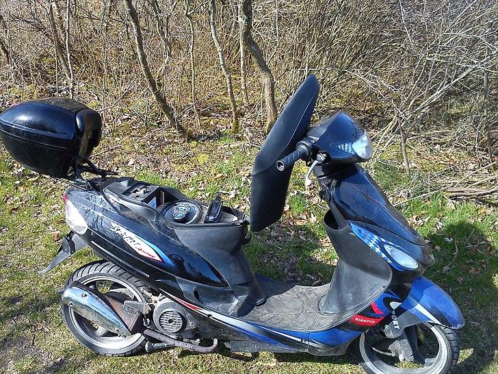 Giantco Sprint billede 4