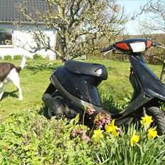 Yamaha Jog As "SOLGT"