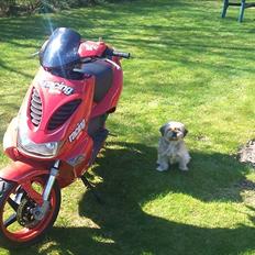 Aprilia sr 50 lc dd SOLGT