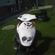 PGO PMX