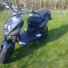 PGO Pmx Naked Carbon