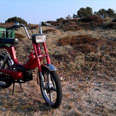 Vespa Bravo - Læsø-fræseren 