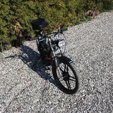 Puch Maxi P1   " sonic"