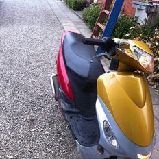 Peugeot v-clic (SOLT)