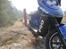 PGO Hot 50 Sp 12 "